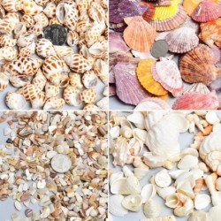Natürliche Muscheln, Muscheln, Seesterne, Aquariengestaltung, handgefertigte DIY-Materialien, Bilderrahmen, Windspiele, Dekor