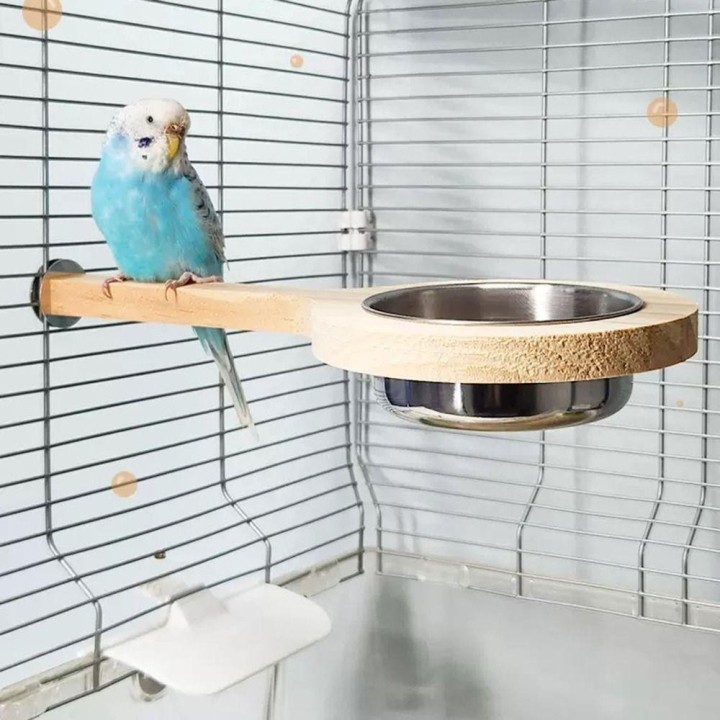 Holz Papagei Fütterung Tasse Hängen Papagei Feeder Vogel Barsch Stehen Plattform Vogel Käfig Zubehör Without Toy Style