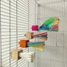 Papagei Holzspielzeug Regenbogen Papierstab Zähneknirschen, Beißen und Lüften Schaukelständerstab A