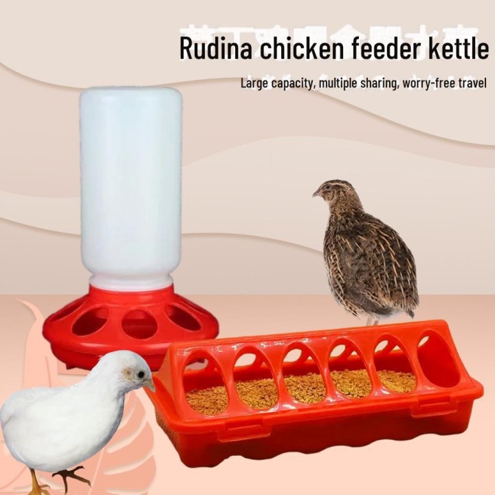 Luding Automatischer Hühnerfutterspender und Tränke für Tauben und Wachteln