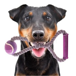 Happypet Knots Tennisball – Tennisball mit geflochtenem Seil