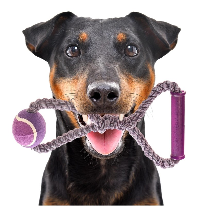 Happypet Knots Tennisball – Tennisball mit geflochtenem Seil