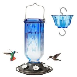 Kolibri-Futterspender aus Glas, 24 oz, zum Aufhängen, für draußen, mit Bienenschutz, Futteröffnungen für die Veranda und den
