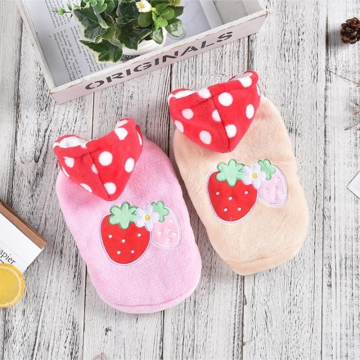 Haustier Erdbeere mit Hut Zwei Füße Herbst Wintermantel Kleine und mittelgroße Hunde Teddy Hund Plüsch Kapuzenpullover Hundek