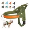 Hundegeschirr ohne Ziehen, weich gepolstert, Weste mit reflektierenden Trainingsgeschirren für Haustiere, langlebig, für klei