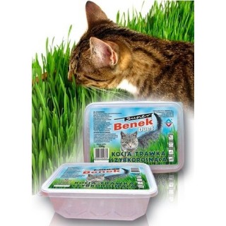 BENEK Trichter für schnell wachsendes Gras