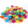 Anyasen 200 Pièces Galet Lneux Pierre Lneuse Mehrfarbige Galets Jardin Décoratif Pierres Lnescentes Fluorescent Décor für Pas