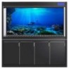 Aquarium-Hintergrund, dekorative Malerei, Pflanzen, HD-Aquarium-Landschaftsaufkleber 1