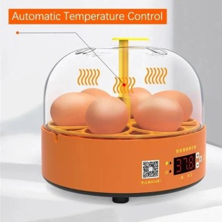 Vollständig steuerbare Eier-Inkubatorfarm für Temperatur 40,64 dB, automatische intelligente digitale Temperaturregelung, Dre