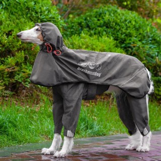 Verstellbarer Hunderegenmantel für Haustiere. All-in-One-Poncho mit Kapuze für große Hunde mit geklebtem Vierbeiner XS