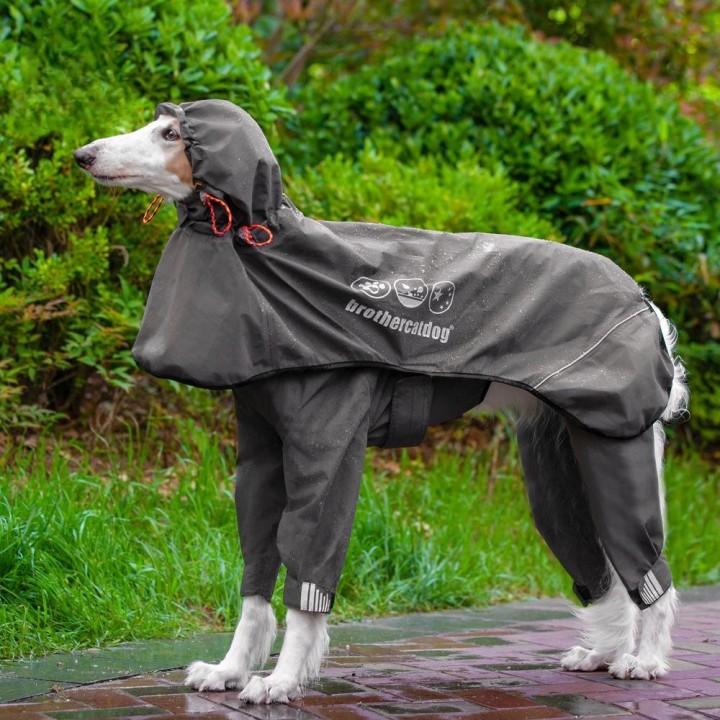 Verstellbarer Hunderegenmantel für Haustiere. All-in-One-Poncho mit Kapuze für große Hunde mit geklebtem Vierbeiner XS