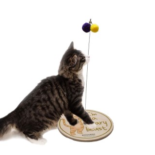 Little Cat Knookist Katzenspielzeug Katzenspielanleitung Ein gruseliges Spiel [Ein Spiel] [/Japanisches Handbuch] (Ich bin ei