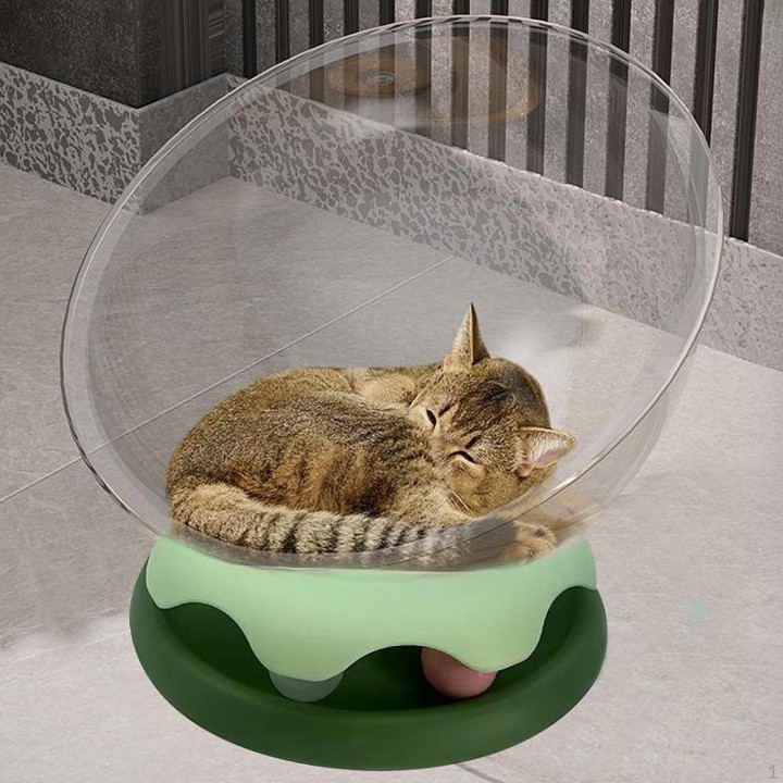 Kapsel Katzenbett Hängematte Halbrund Zwinger Nest für Kätzchen Kätzchen Spielen Green Small