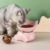 Neu Keramik Haustier Katze Schüssel Futternapf Schrägen Mund Hundenapf Katze Trinknapf Hohe Fuß Schutz Halswirbel Katze Trink