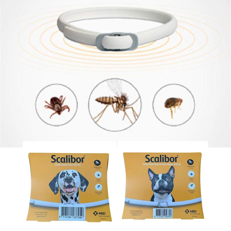 12 Monate, Weiß, Antiparasitenhalsband, Anti-Floh, Anti-Zecken, Leishmaniose, Für kleine und mittelgroße Hunde One Size