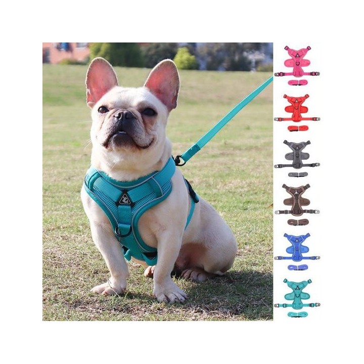 Gut aussehendes Haustierleinen-Set mit reflektierenden Streifen, gute Elastizität, flexibel M rose rot