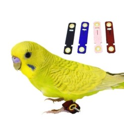 Spatz Wellensittich Haustier Zubehör Knöchel Fuß Kette Vogel Fuß Abdeckung Vogel Schnalle Ringe Papagei Bein Ring No 4 blau