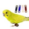 Spatz Wellensittich Haustier Zubehör Knöchel Fuß Kette Vogel Fuß Abdeckung Vogel Schnalle Ringe Papagei Bein Ring No 4 blau