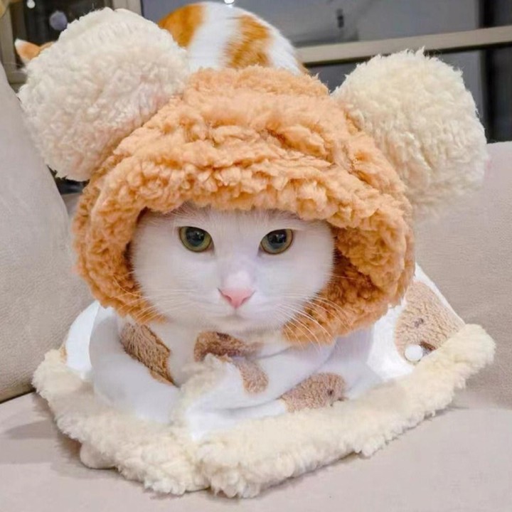 Cartoon-Muster Hund Winter Warm Cape Coral Samt Hund Cartoon Bär Decke Frühling L kaffeebraun