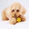 Petio Hundespielzeug TREATS LOVER Ball S
