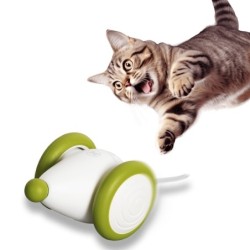 Nekogakudo Katzenspielzeug 2024 Edition Maus Wicked Mouse Plus Solo Play USB-Aufladung Schelmischer Freund der Katze (Grün)