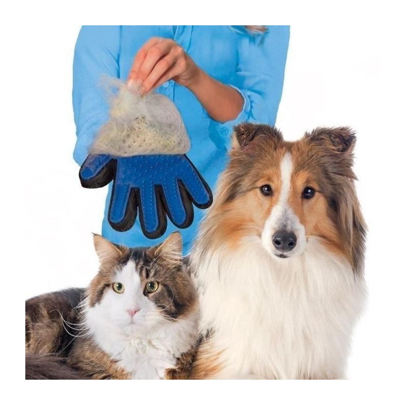 GANT POUR CHIEN CHIEN