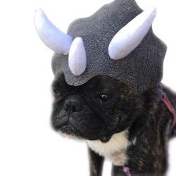 Haustier Kopfbedeckung Triceratops Haustier Hut Lustige Haustier Kleidung Hund Katze Dress Up Party Bekleidung Kleidung Cospl