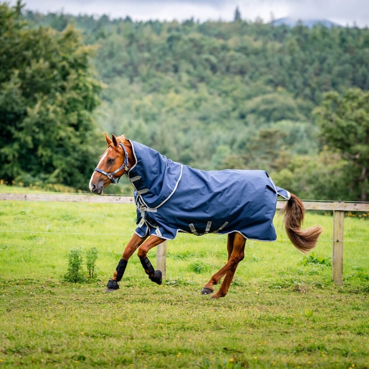Horseware Amigo 1200D Plus Turnout 50g