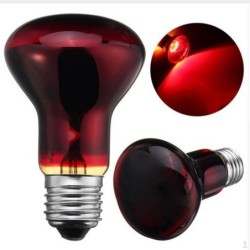 Sonnenwärme Reptil rote Glühbirne Licht 60W