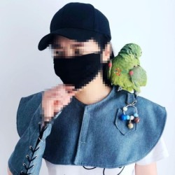 Papagei Anti-Kratz Schulterschutz Schal Vogel Windel für Sittiche Nymphensittiche Vögel Fußkettchen Arm guard blau