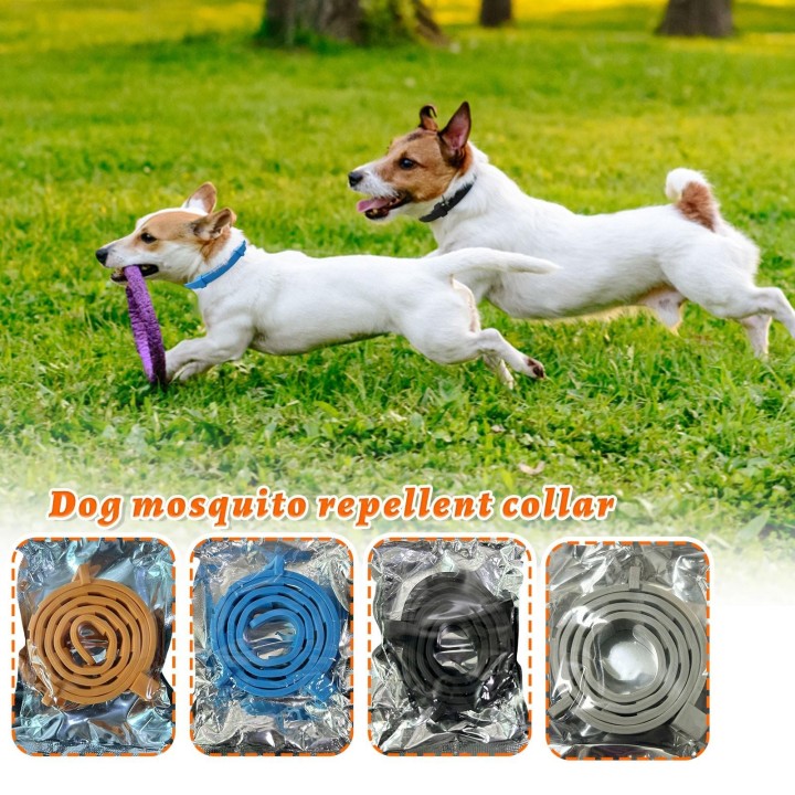 Halsband Hund Katze Verstellbares Haustier-Entwurmungshalsband One Size schwarz