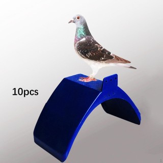 10x Taube Steht Vogel Sitzstangen Blau Unterstützung Käfig Taube Rest Wohnung Rahmen für Garten