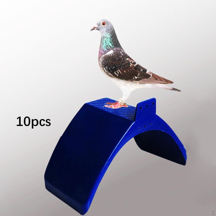 10x Taube Steht Vogel Sitzstangen Blau Unterstützung Käfig Taube Rest Wohnung Rahmen für Garten