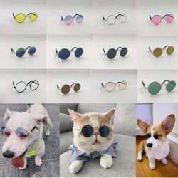 Katzensonnenbrille: Trendiges, UV-beständiges und schützendes Haustierzubehör