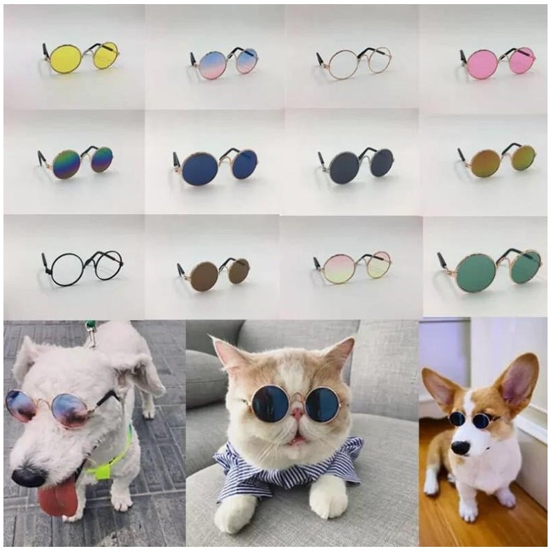 Katzensonnenbrille: Trendiges, UV-beständiges und schützendes Haustierzubehör