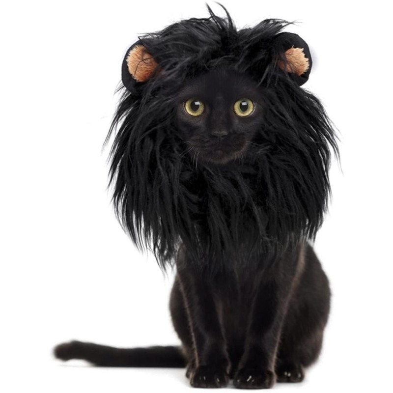 Haustierperücke für Hunde und Katzen, Haar, Kopfbedeckung, Cosplay-Kostüm für Weihnachten, Halloween-Party