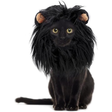Haustierperücke für Hunde und Katzen, Haar, Kopfbedeckung, Cosplay-Kostüm für Weihnachten, Halloween-Party