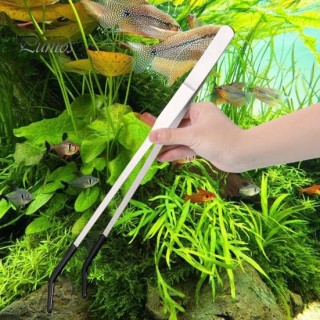 Fütterungszange aus Edelstahl für Reptilien mit Gummispitze, lang, gerade, gebogen, Pinzette, Bartagamen, Schlangen, Tank-Zub