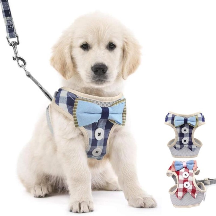 Verstellbares Hundegeschirr-Leine-Set, atmungsaktives Netz-Katzengeschirr, Weste für kleine, mittelgroße Hunde, Katzen, Spazi