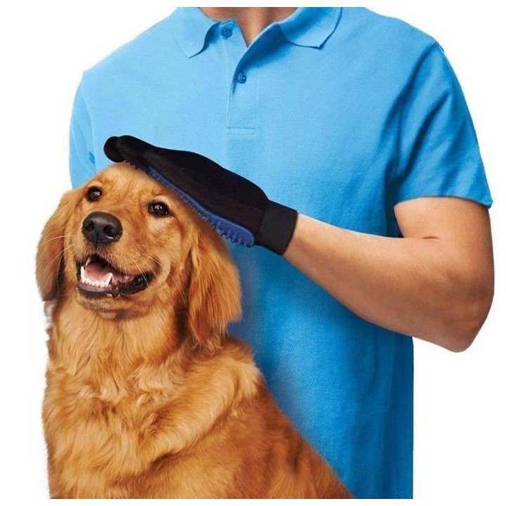 SHOP-STORY - Gant de Brossage pour Toilettage de Poils d'Animaux de Compagnie Chien Chat