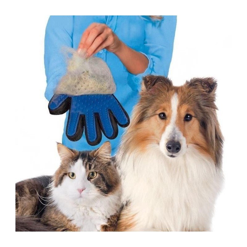 Die magische Schönheitsbürste Gant doux efficace Pet Massage Toilettage toiletteur