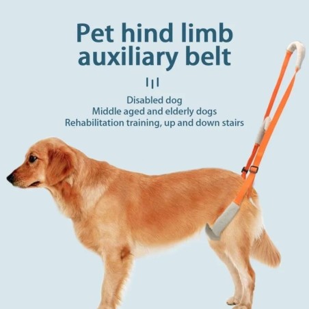 Haustier Hund Hebegeschirr Haustier Hinterbeine Stützhilfe Schlinge für ältere Hunde mit schlechter Stabilität, Hinterbein Hü