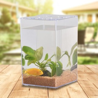 Aquarium mit Deckel, transparentes Acryl, Kampffische, kleines Mikro-Landschaftsbecken für Zuhause reinfarbig