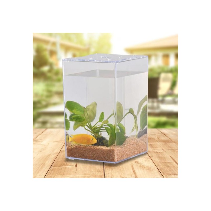 Aquarium mit Deckel, transparentes Acryl, Kampffische, kleines Mikro-Landschaftsbecken für Zuhause reinfarbig