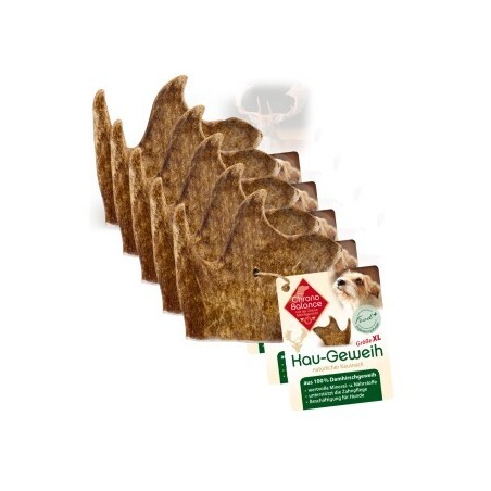 ChronoBalance natürliches Damhirsch Kaugeweih 5xXL, 5x