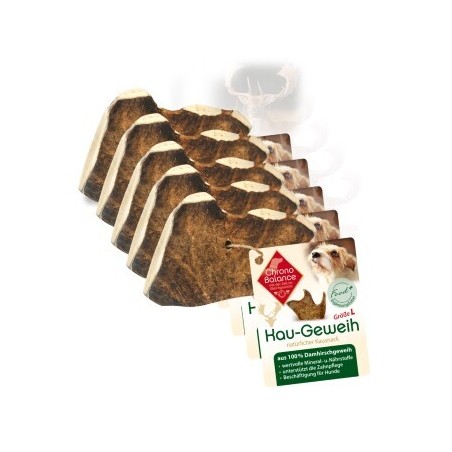 ChronoBalance natürliches Damhirsch Kaugeweih 5xL, 5x