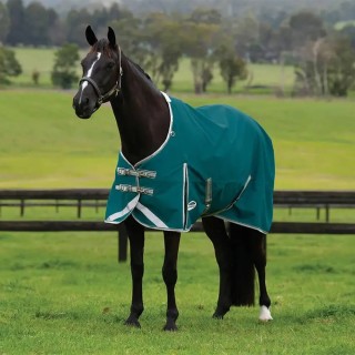 Weatherbeeta Comfitec Plus Dynamic II Standard Neck Lite