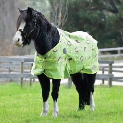 Saxon 600D Pony Standard Neck Lite