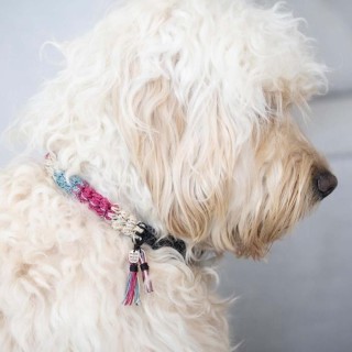 DIY Häkelset - Creativ Company - Hundehalsband - Reflektierend - Mittlere Größe - Mittleres Niveau