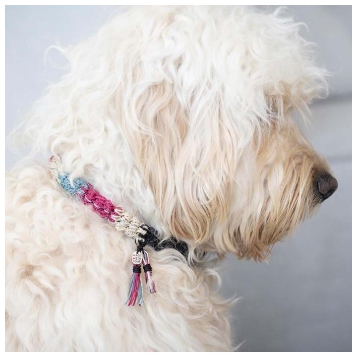 DIY Häkelset - Creativ Company - Hundehalsband - Reflektierend - Mittlere Größe - Mittleres Niveau